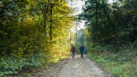 Naturen kalder: Vi strømmede ud til skov og strand sidste år