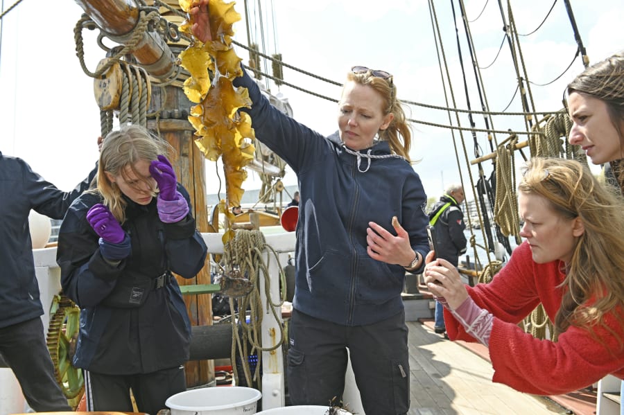 Læreruddannelsen bliver introduceret til tangens kvaliteter. Foto Peter Bondo Christensen