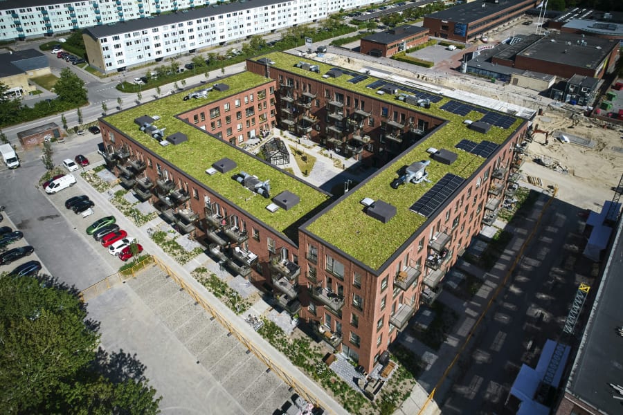 Sedumtage bliver mere og mere populære i forbindelse med etagebyggerier. Foto: Nature Impact.